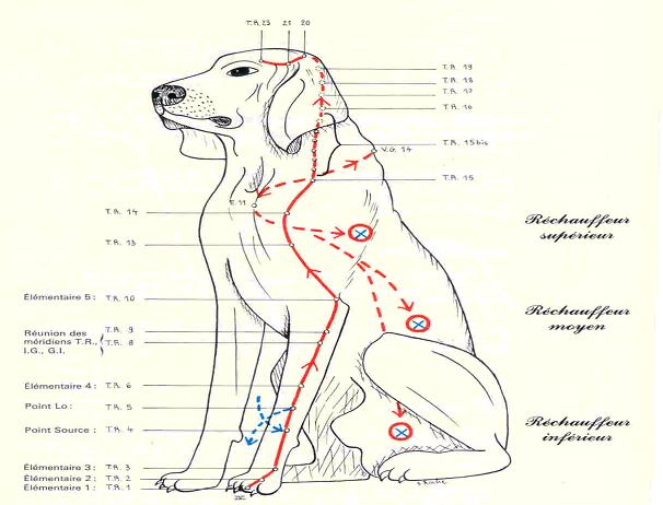 meridientriplerechauffeur