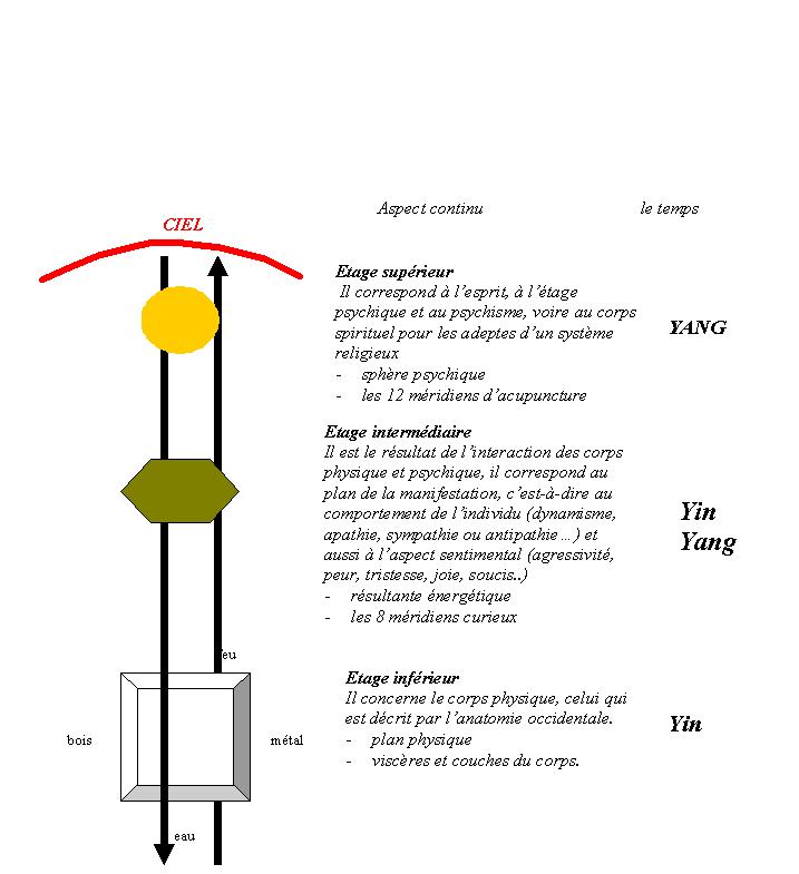structureoaganisme